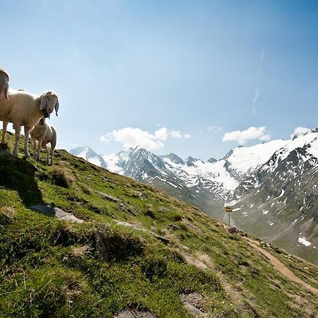Appartement Elmar Obergurgl Exteriér fotografie